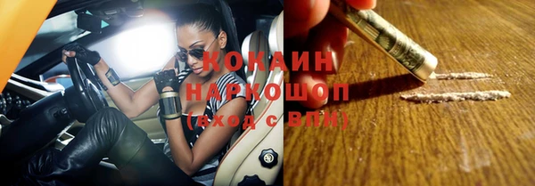 стафф Богданович