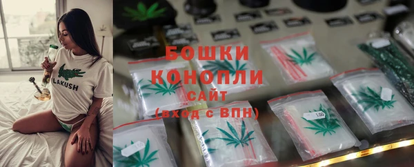 стафф Богданович