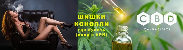 стафф Богданович