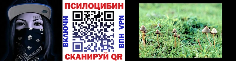кракен ССЫЛКА  Берёзовка  Псилоцибиновые грибы прущие грибы 