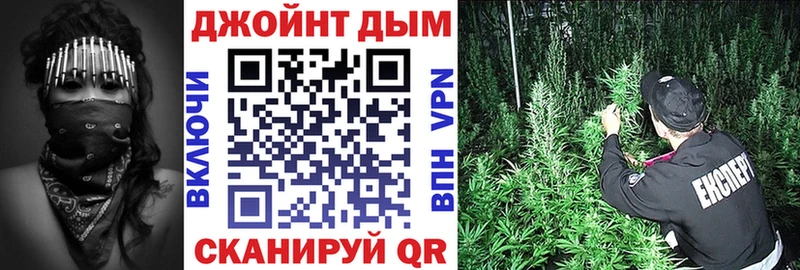 как найти закладки  Берёзовка  Канабис гибрид 